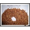 MP Red Sorghum bird feed for sale