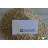 Animal Feed