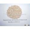 white sorghum (MC)
