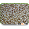 A GRADE GRAIN / PREMIUM SORGHUM / FLOUR Sorghum