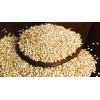 Quinoa Raw Powder Conventional / Organic / Quinoa Seed