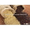 Quinoa Raw Powder Conventional / Organic / Quinoa Seed FOR SALE