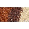 Quinoa
