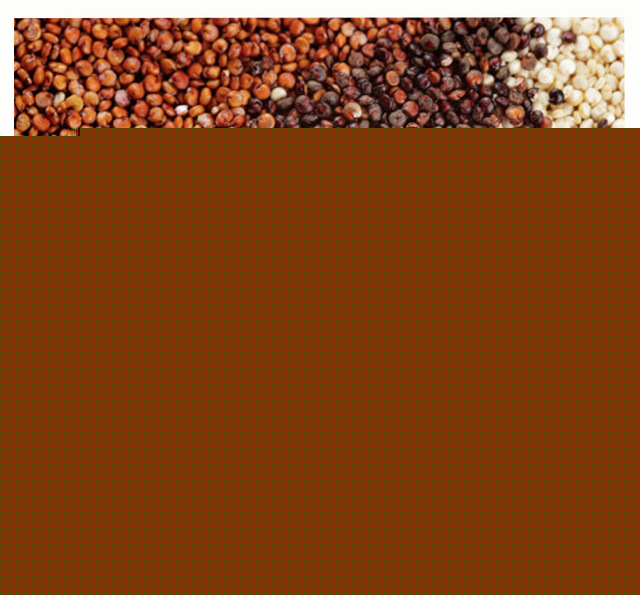 Quinoa