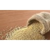 ORGANIC SPROUTED QUINOA