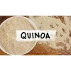 CERTIFIED ORGANIC/CONVENTIONAL WHITE QUINOA Chenopodium Quinoa