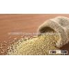 Organic Red/White Quinoa Seeds FOR SALE