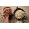 Conventinoal and organic quinoa grains