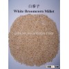 Best qualtiy White broom corn millet,2015crop on hot sale