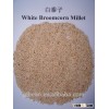 Well choose pure White broom corn millet