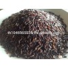 Organic Rice Berry from Thailand OEM