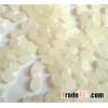 Vietnamese Japonica White Rice 5% broken - the best sushi rice