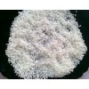 Japonica Sushi rice 5% broken