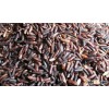 Thai organic black rice