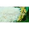 Good Vietnamese Jasmine rice 5% broken-Mr. Alan Hieu( hieu.phuongquan@gmail.com)