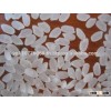 NEW CROP-HIGH QUALITY- FRAGRANT JASMINE RICE 5%BROKEN - PHUONG QUAN MANUFACTURER