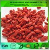 Certified organic goji berries / 2015 bulk goji berry