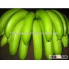 Cavendish Bananas/Fresh Green Bananas/Fresh Indian Fruits/