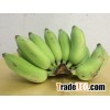 Organic fresh Bananas Nam Wah