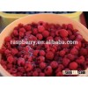 IQF Red Raspberry