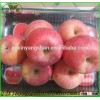 Good apple made in China/Fresh Apples/fuji apple exporter in china