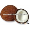 FRESH MATURED WHOLE BROWN COCONUTS