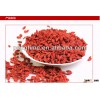 2015 organic dried goji berry