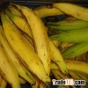 Plantain - Wholesale - www.agriprices.com - Visit Us For Free Samples
