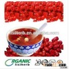 Manufacture Supply Organic high quality sweet Jujube/ Chinese dried red dates/ organic chinese red d