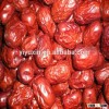Bottom price hot sell dried food-red date Chinese fruit -Dried Red Dates