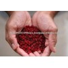 dried goji berry