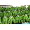 Brazilian Green cavendish bananas