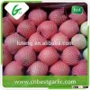 Import fresh gala apple from china