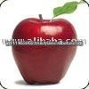 Organic Red Delicious Apple