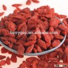 Import Organic 280 Goji Berry