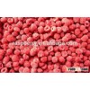 Frozen dried red raspberry fruit