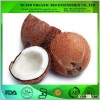 Best prices of desiccated coconut powder
