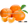 Fresh Mandarin Orange, Jaffa Orange, Shamouti orange
