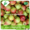 Fresh gala apple with top quality