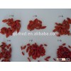 New corp dried goji berries