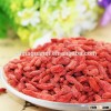 2016 dried goji berry cheap price supplier