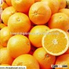 oragnic sweet fruit orange
