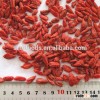dry goji berry health medicine frozen goji berry