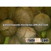 BULK FRESH COCONUTS