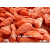 new product organic goji berries/ Lycium sinensis Mill/dry fruits in pakistan/Dried goli berry packe