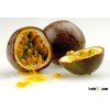 COMPETITIVE PRICE_FRESH PASSION FRUIT _HIGH QUALITY
