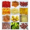 Chinese Bulk Dehydrated/Dry/Dried Fruits Cheap Price