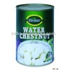 Canned Water Chestnut whole,canned fruit,water chestnut