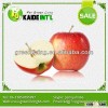 Organic Fresh Apple Supplier From China