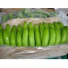 GREEN PREMIUM FRESH CAVENDISH BANANAS FROM ECUADOR